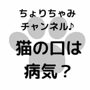 ちょりチャンネル猫の口は病気で障害 気持ち悪い嫌いと言われる理由 バズログ